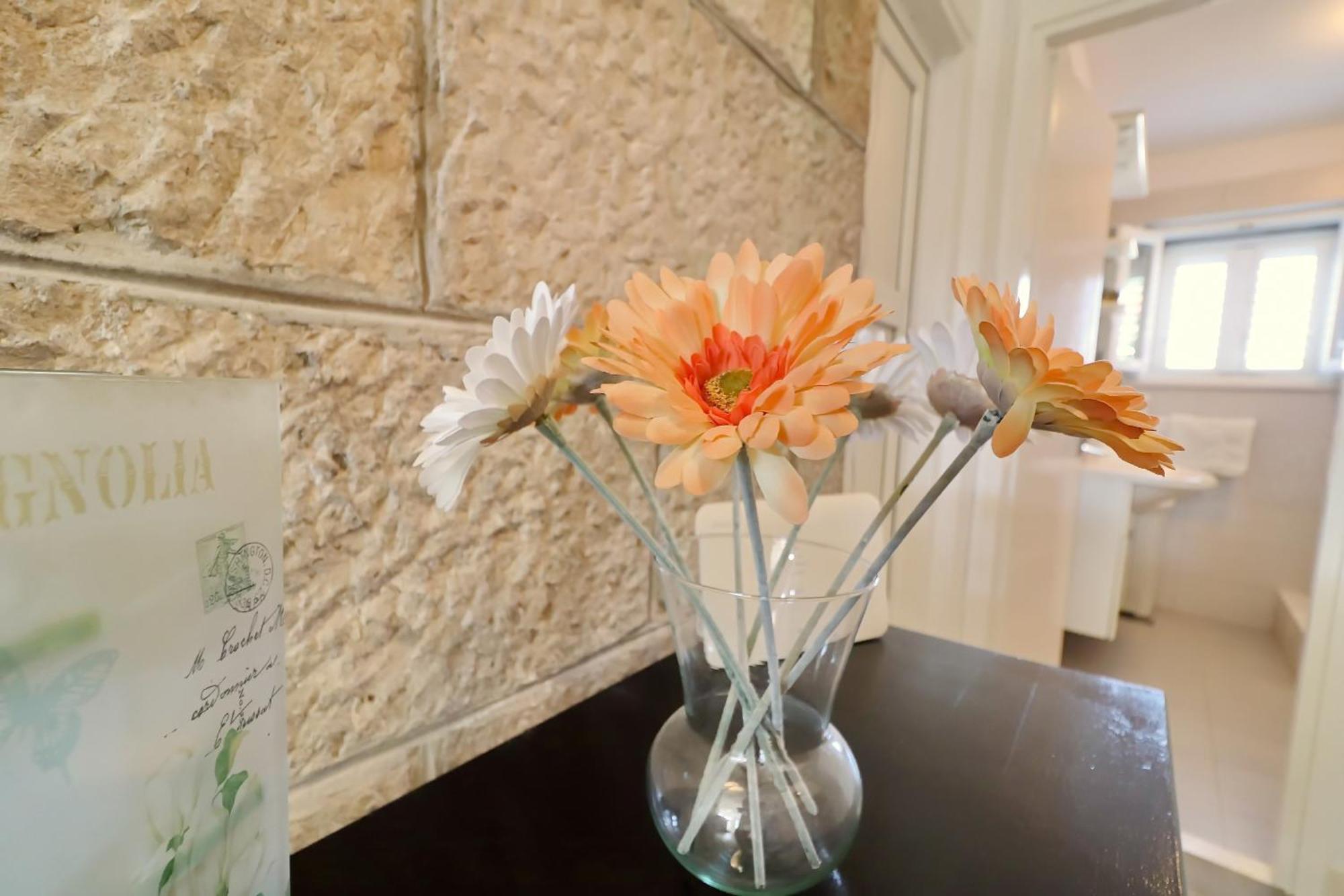 Villa Ivana Zrnovo Εξωτερικό φωτογραφία